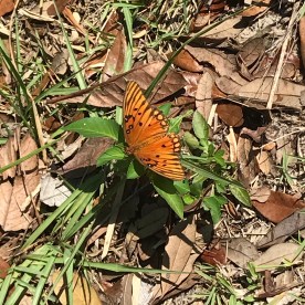 2781F46C-2D41-41D6-A526-46E02D15D38C