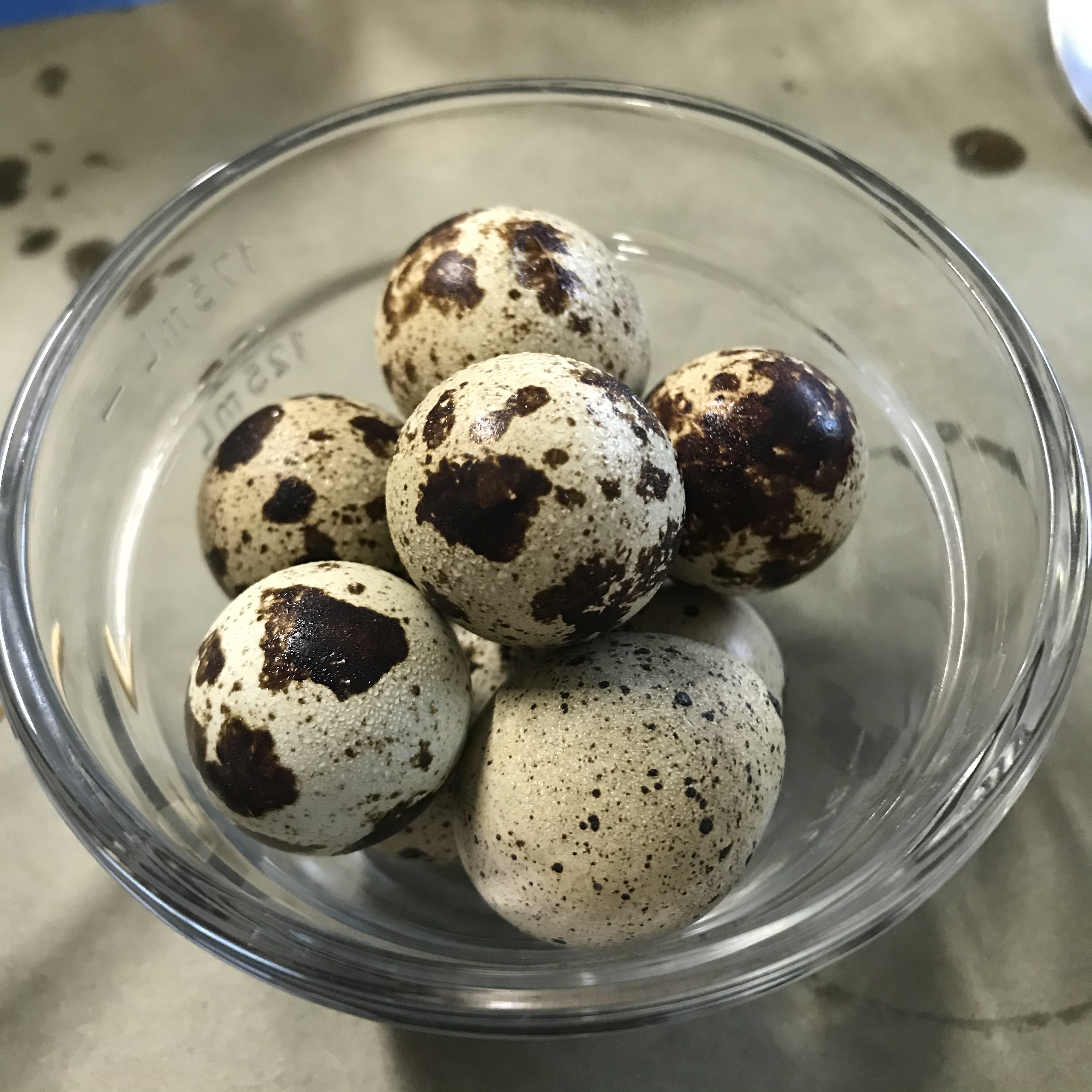 3194DFD9-CD96-4031-BB22-0A1495A9B8BA