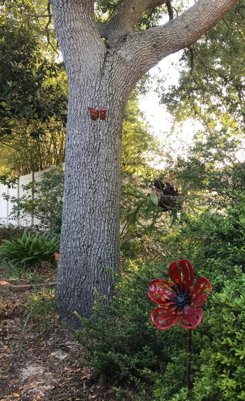 34C31133-9CAF-4D5C-BFB2-1B933D2480A1