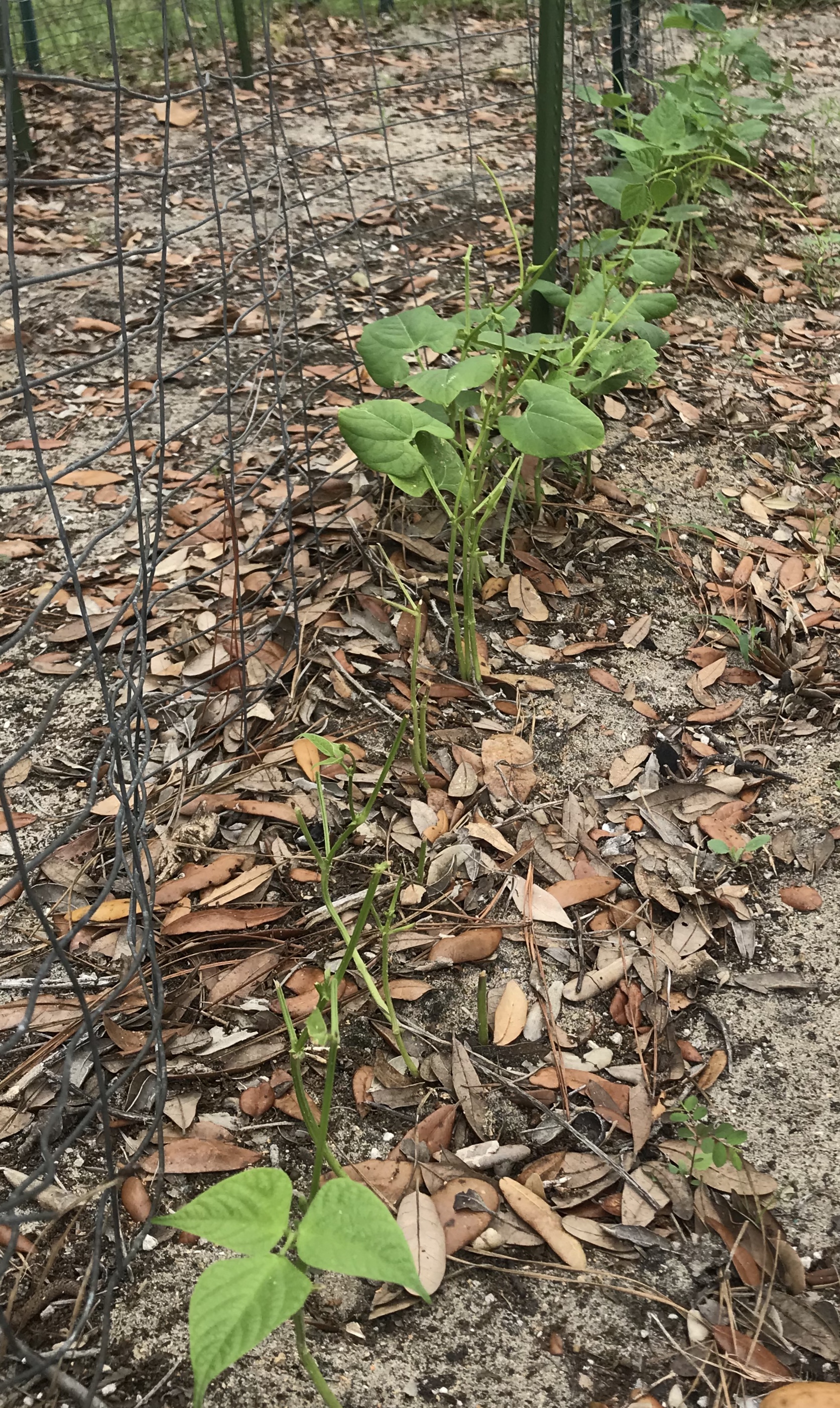 3FF7A824-B2F8-4667-A7EF-6E7CBF26B904