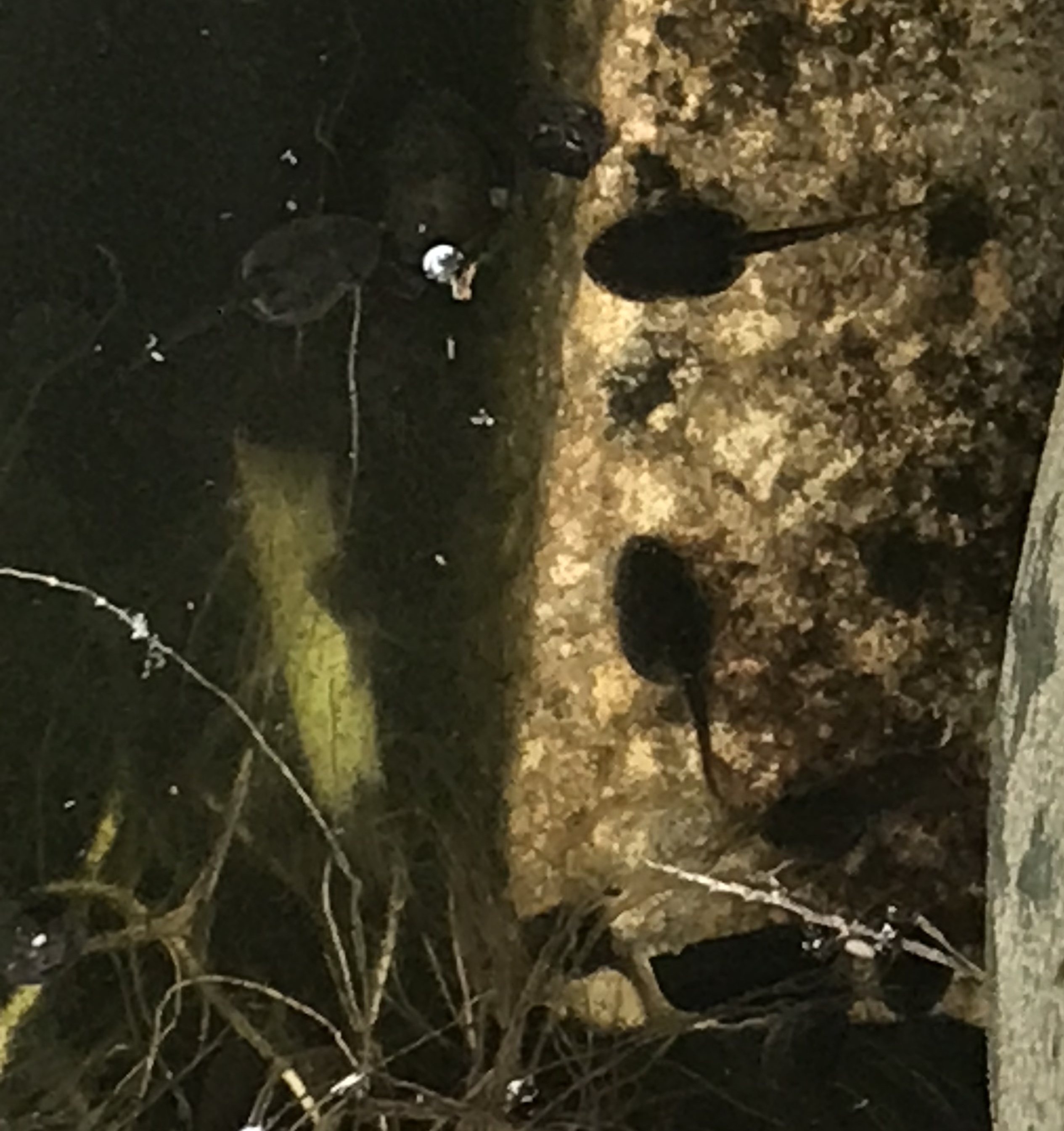 4A71DD22-1341-4193-9621-F6486226B4E8