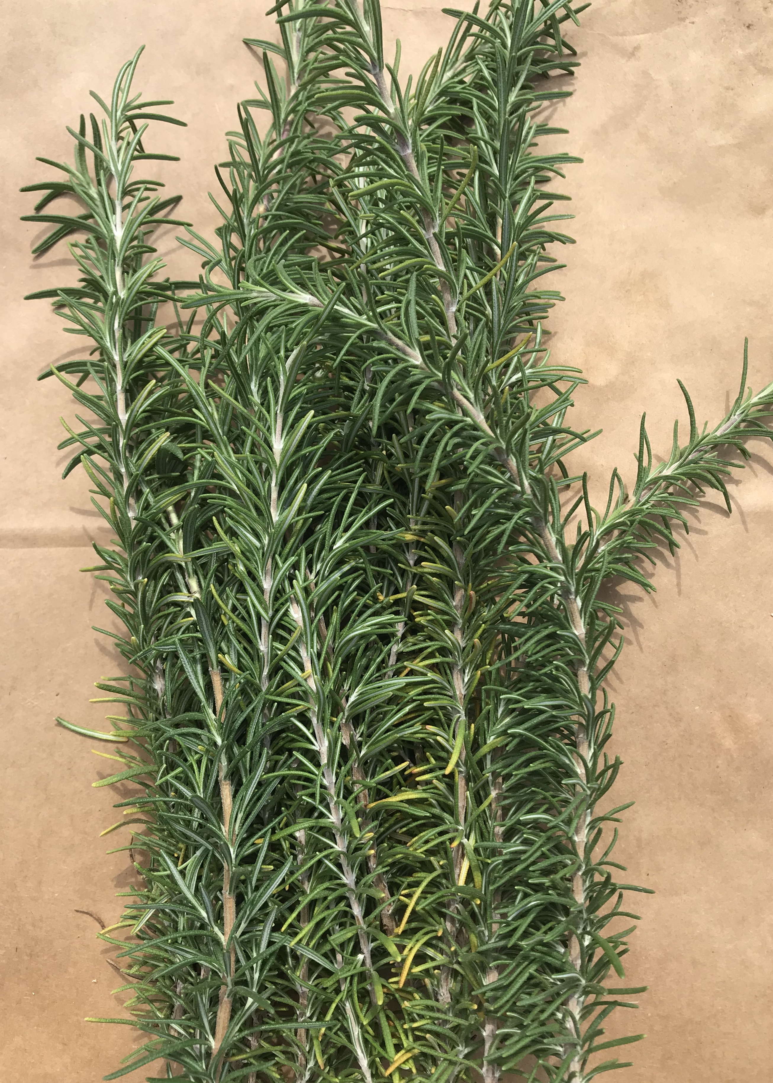 61C57FA3-C6C7-4398-B100-B2BB6FD65164