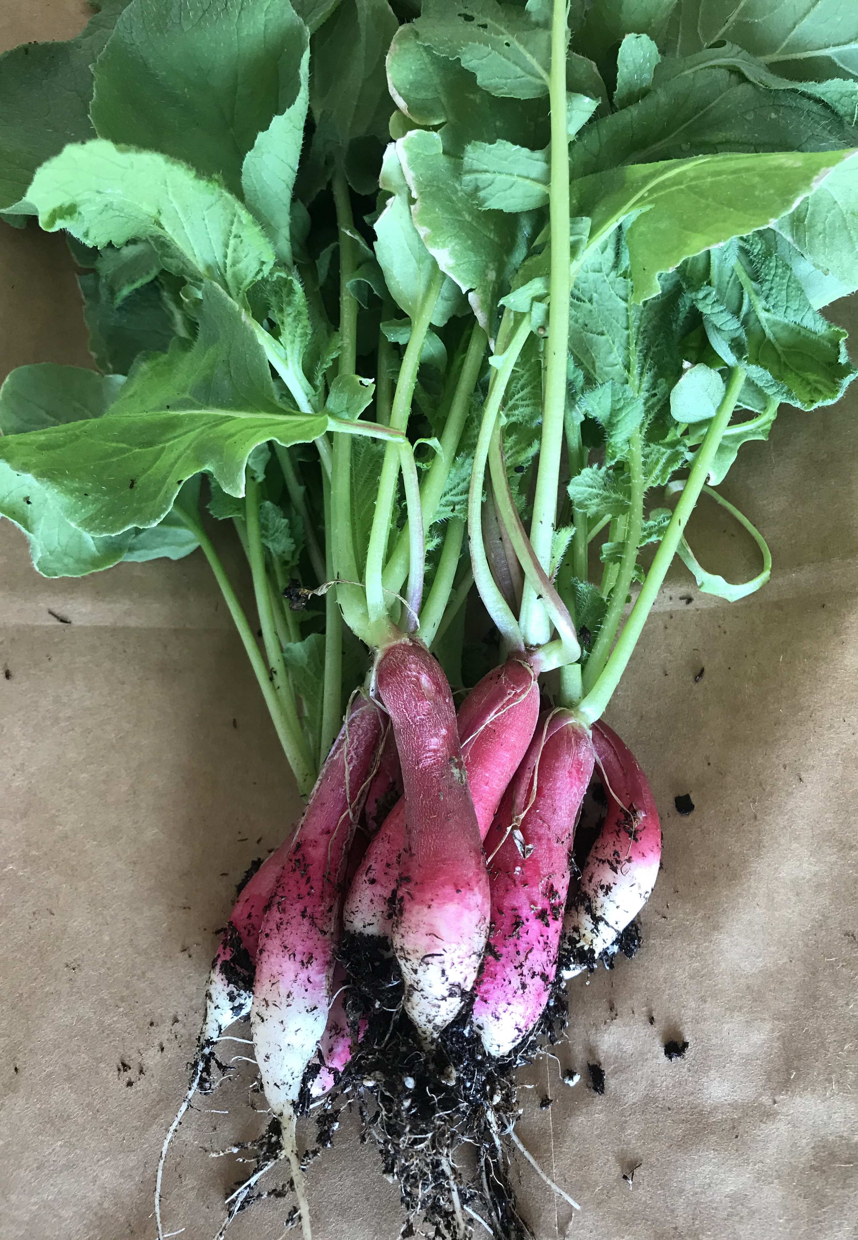 65F50EA3-ED59-4515-808E-70DFDE858241