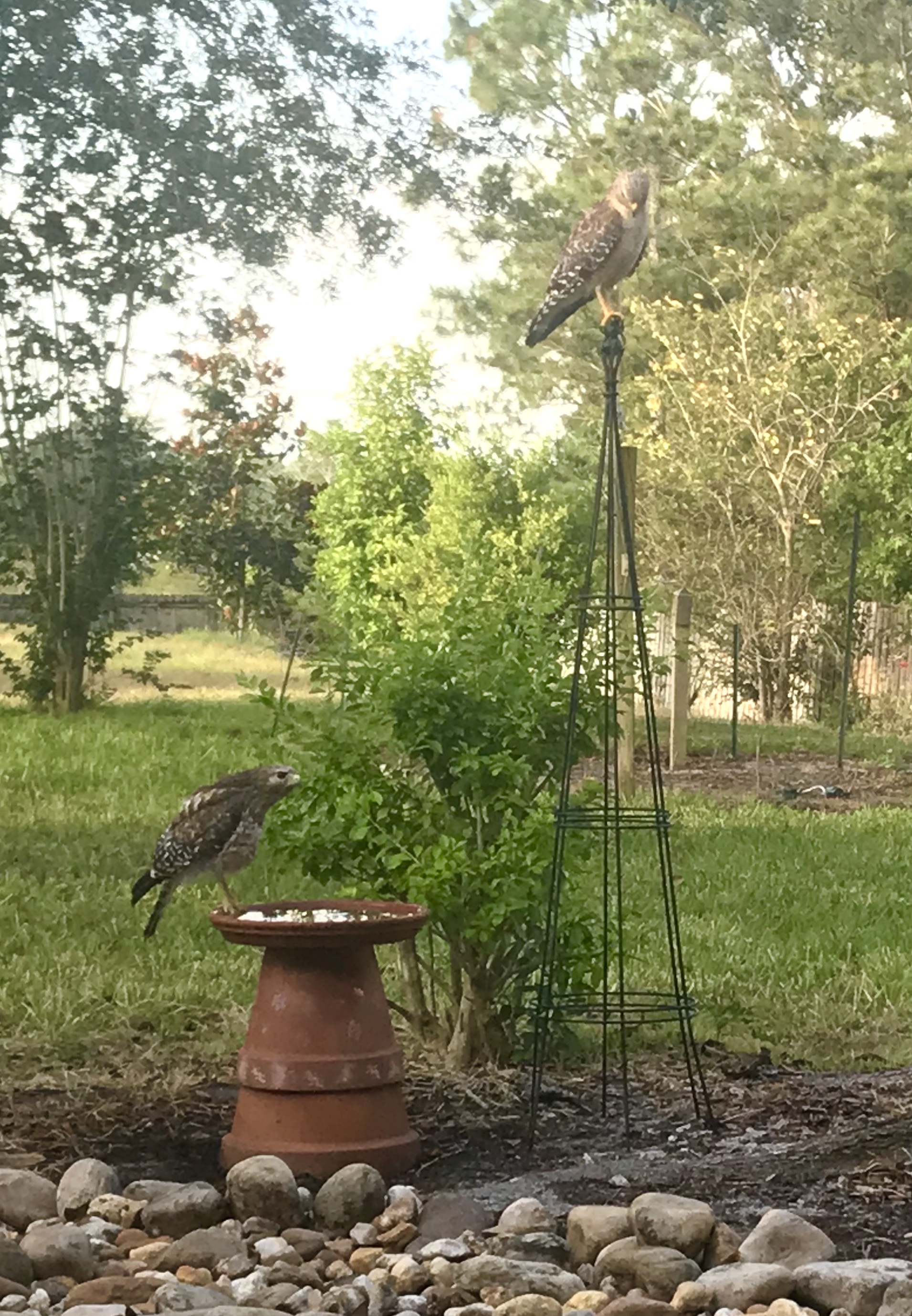 682FE63A-FF3B-4E01-A492-D838C0131A7D