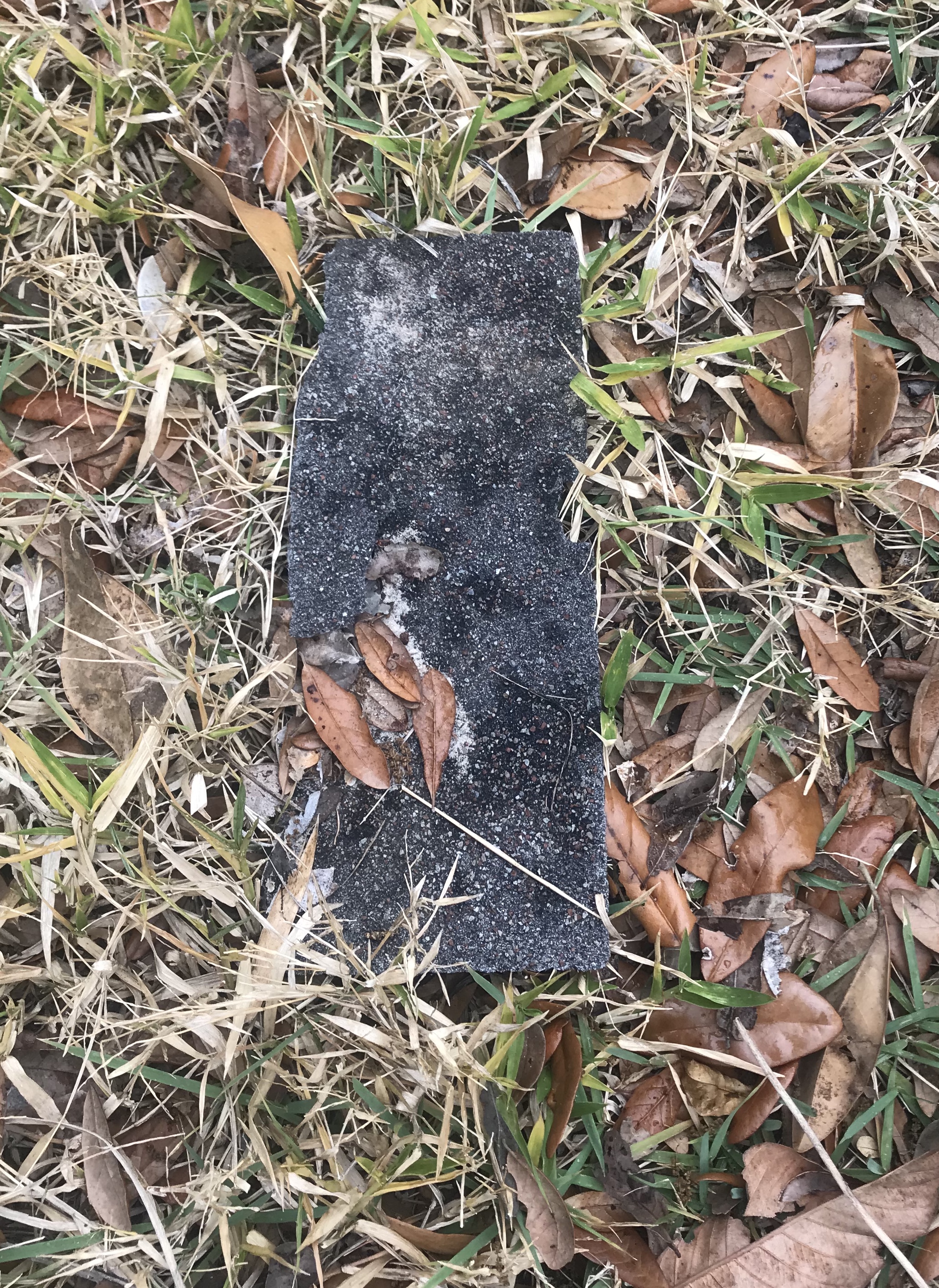 708D96DA-AA75-43EF-9792-385AEE53AC45