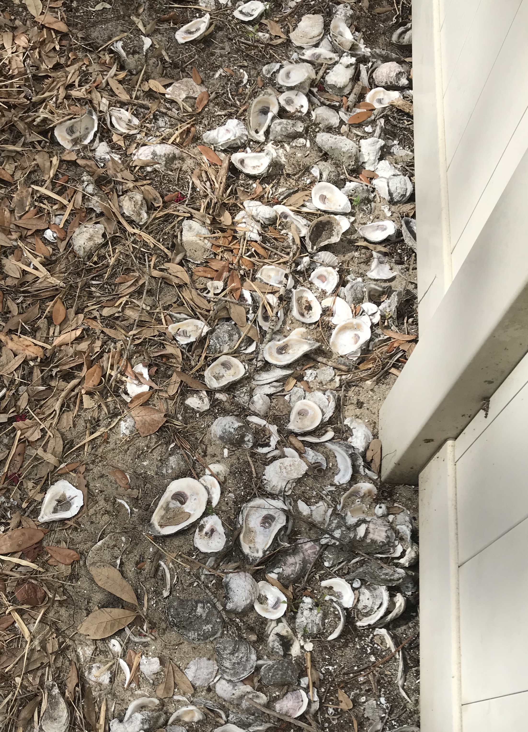 77091D2F-1FDC-47CF-8732-BC9CB4F70631