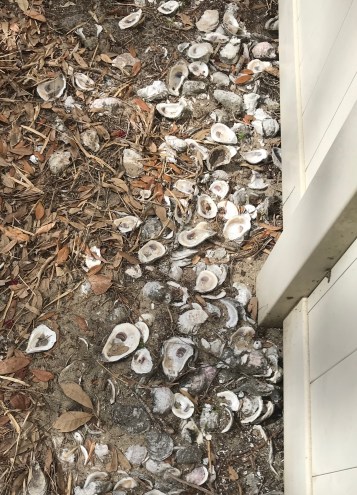 77091D2F-1FDC-47CF-8732-BC9CB4F70631