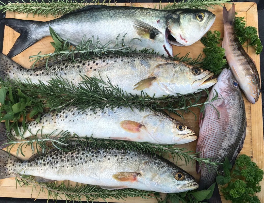 7C07CA15-FA66-4923-BF1C-ED94F763CDB5