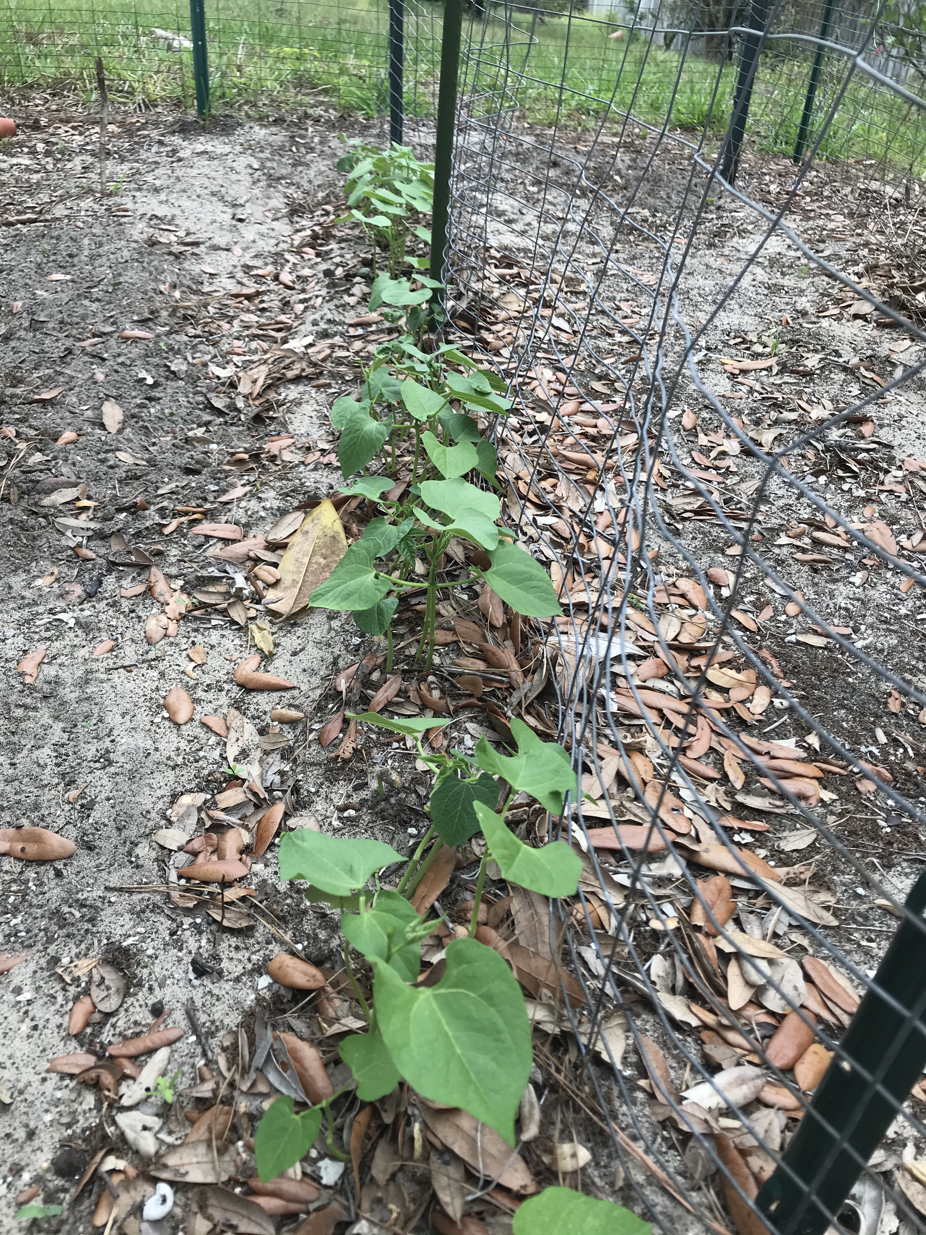 83C4630D-07A8-40CB-BCB7-2B45B65DBDC5