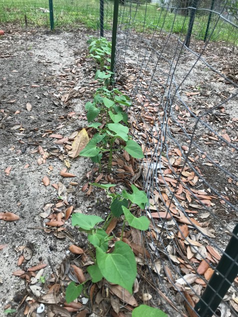 83C4630D-07A8-40CB-BCB7-2B45B65DBDC5