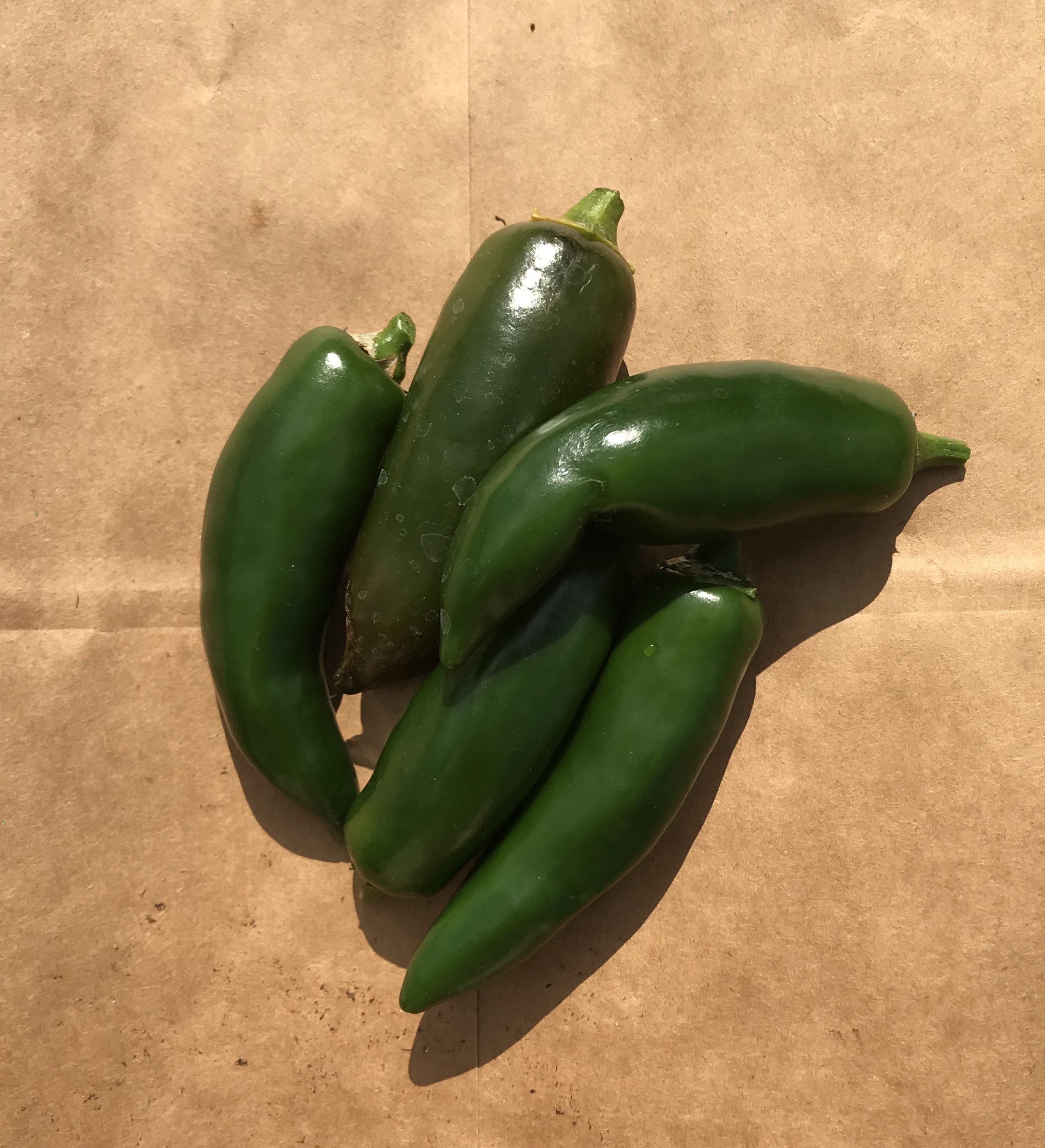 877D589C-8B9C-46CD-9A01-3C9F89804DEC