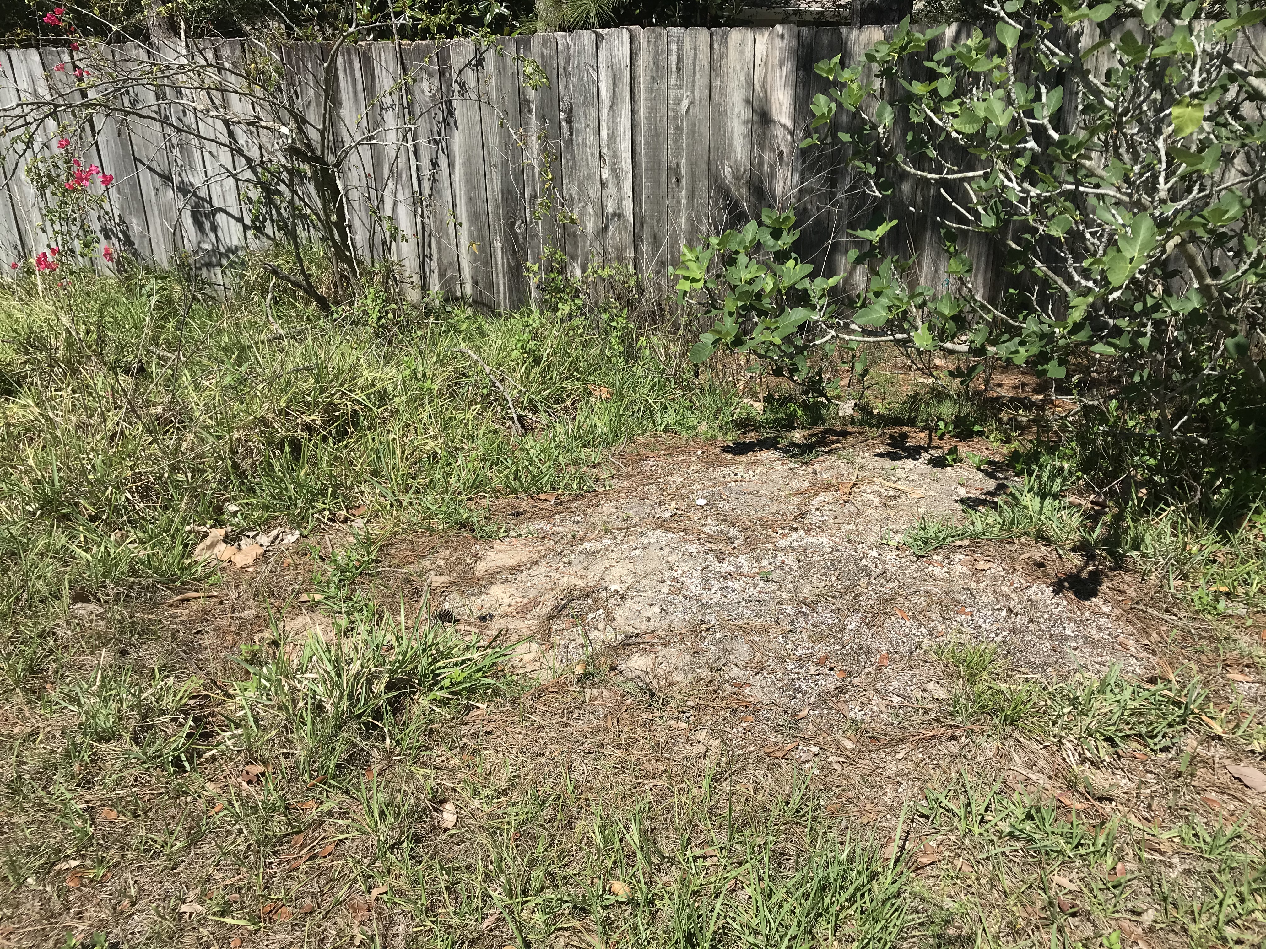 8B49CB48-0CFF-4A33-A4A5-4141C6CBE712