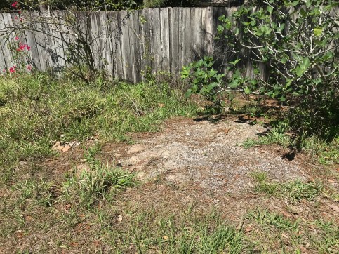 8B49CB48-0CFF-4A33-A4A5-4141C6CBE712