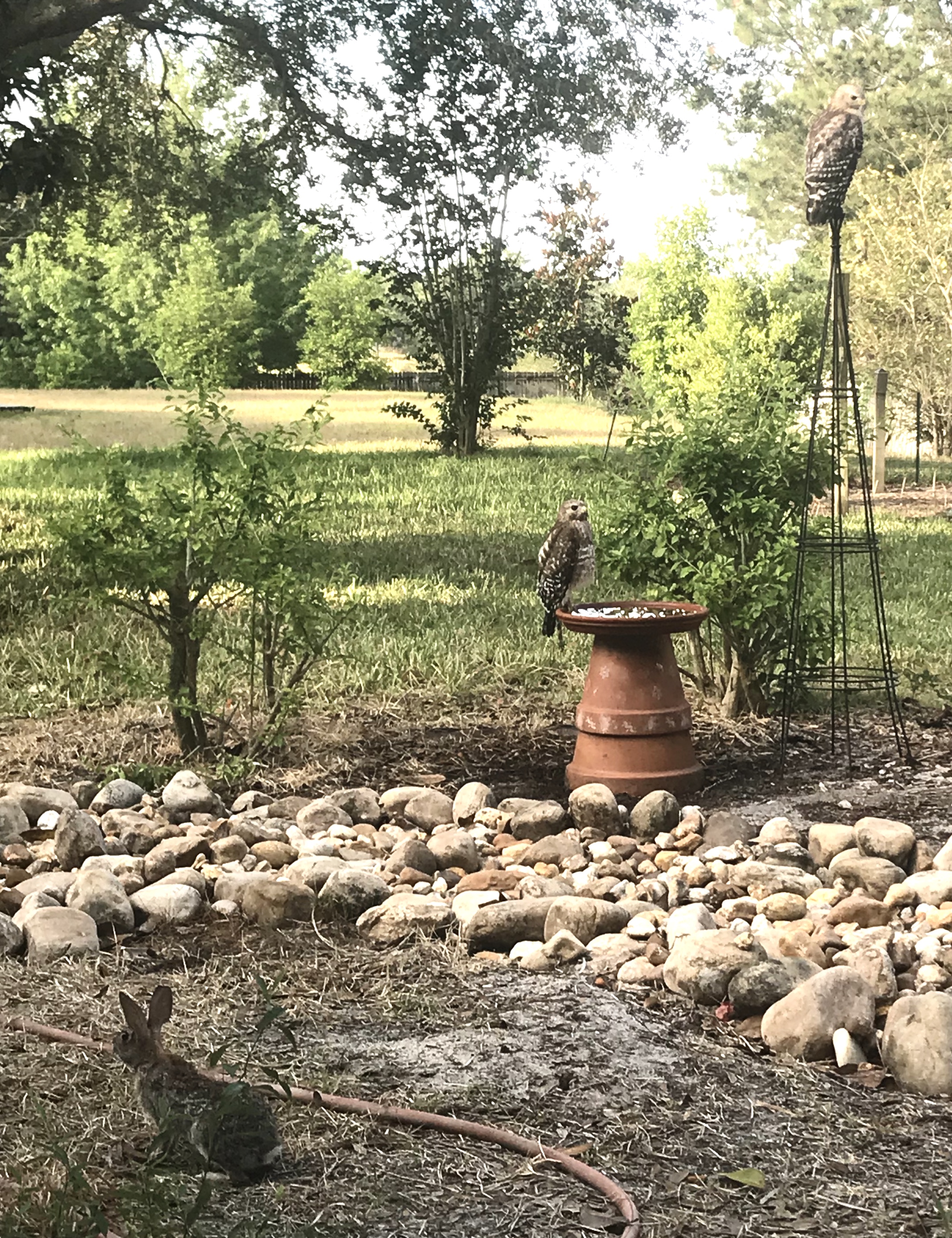 8BA2BC50-8803-4D3A-BC00-709ED3005C83