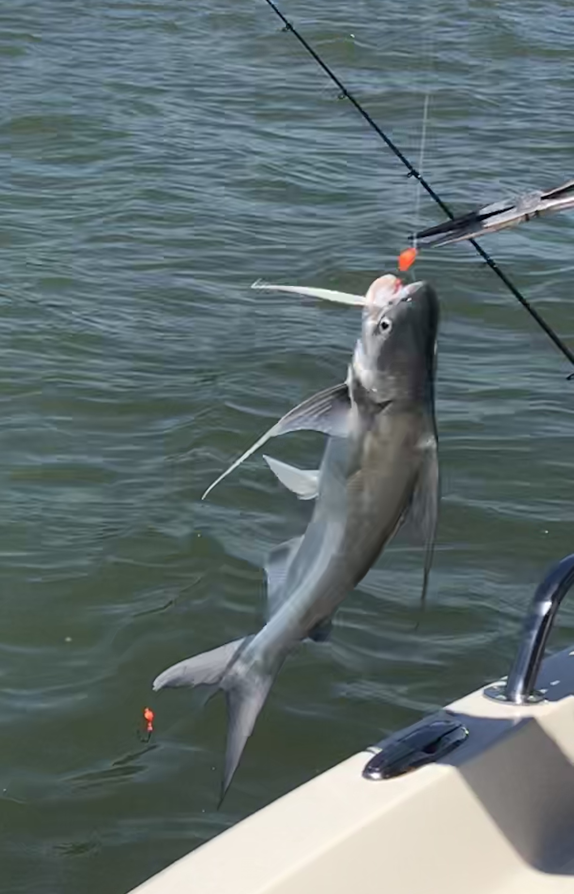 92DBA831-0884-4B1C-AC40-509FC9FD73A1