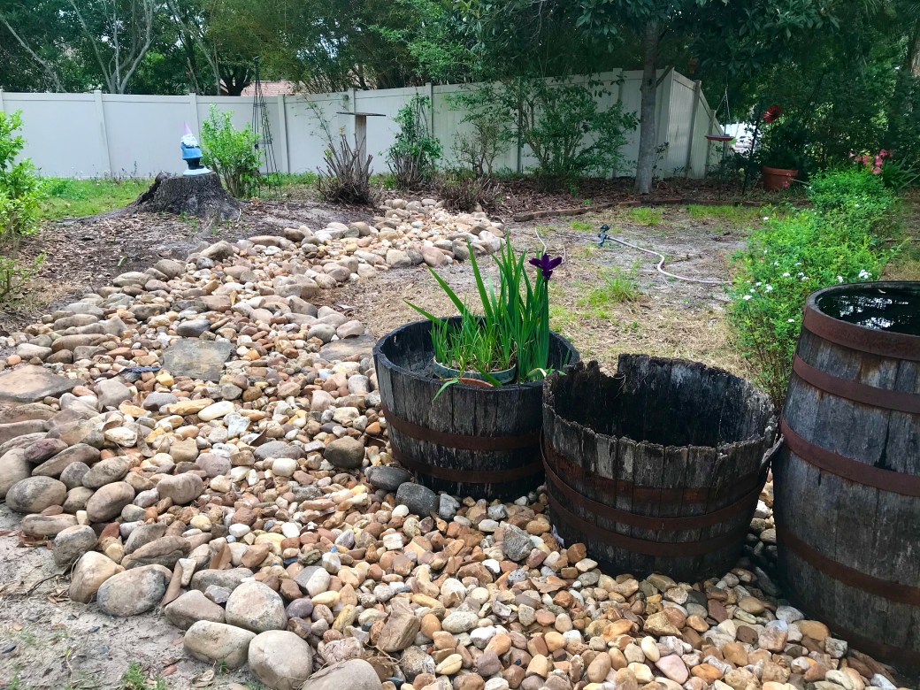 98F0F54E-2BF8-48C4-8974-0F32932C790E