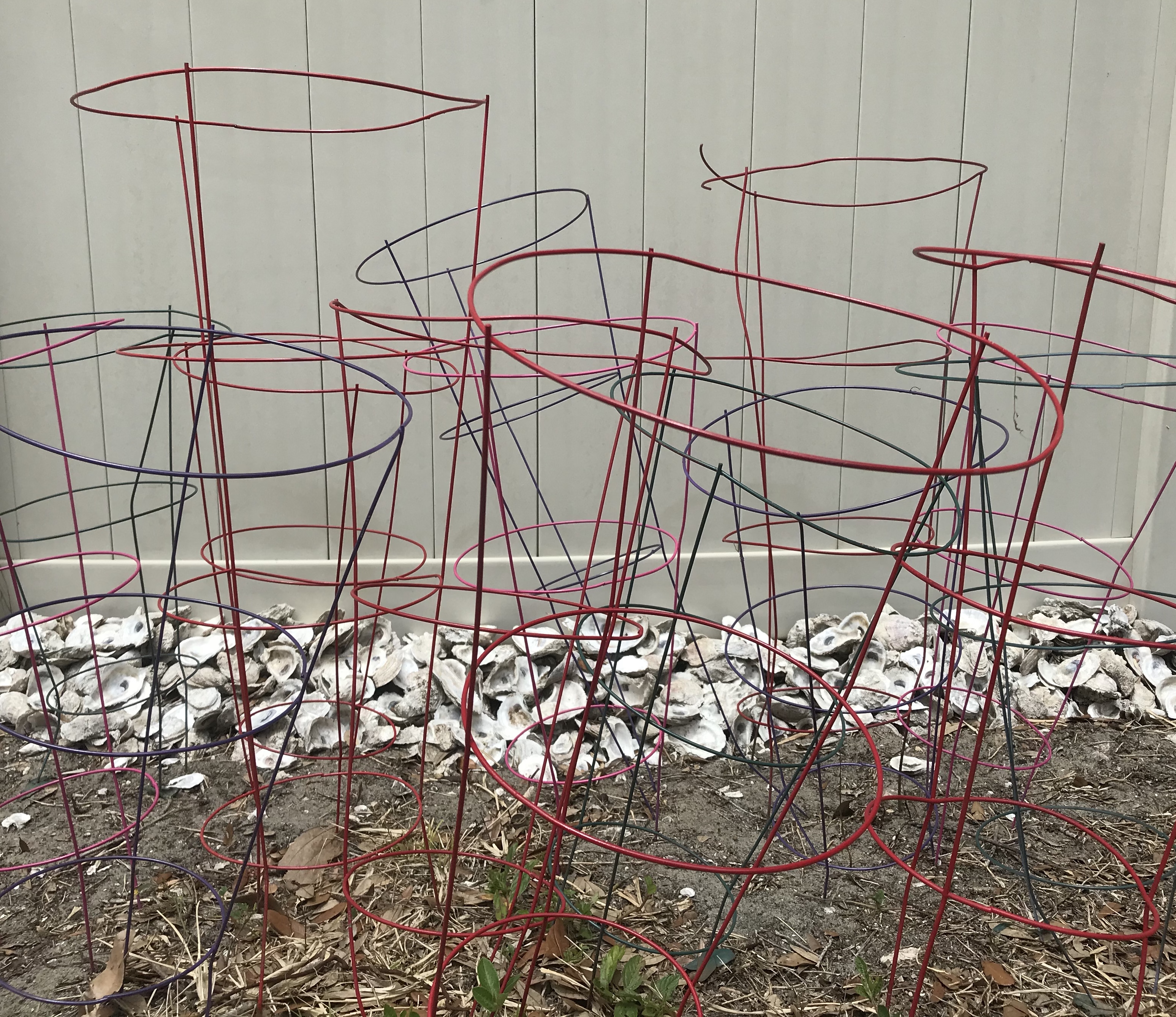 AEFA8C4F-BC21-4534-8E0C-69ED715B59A4