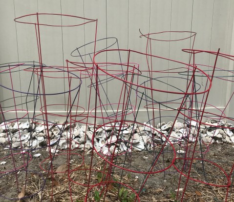 AEFA8C4F-BC21-4534-8E0C-69ED715B59A4