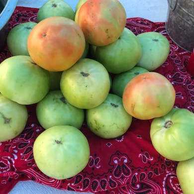 B4871C70-7747-44FC-8891-0C11E6DE559E