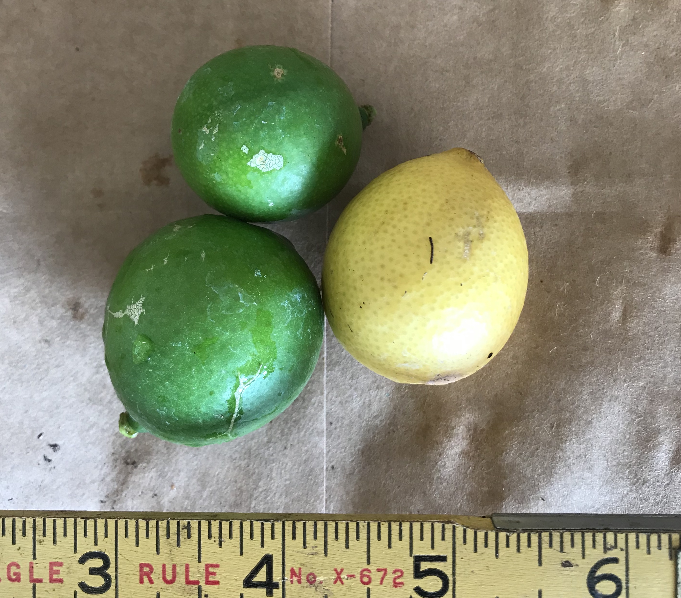 C59819DC-468D-4A72-9967-DC67B42F00DE