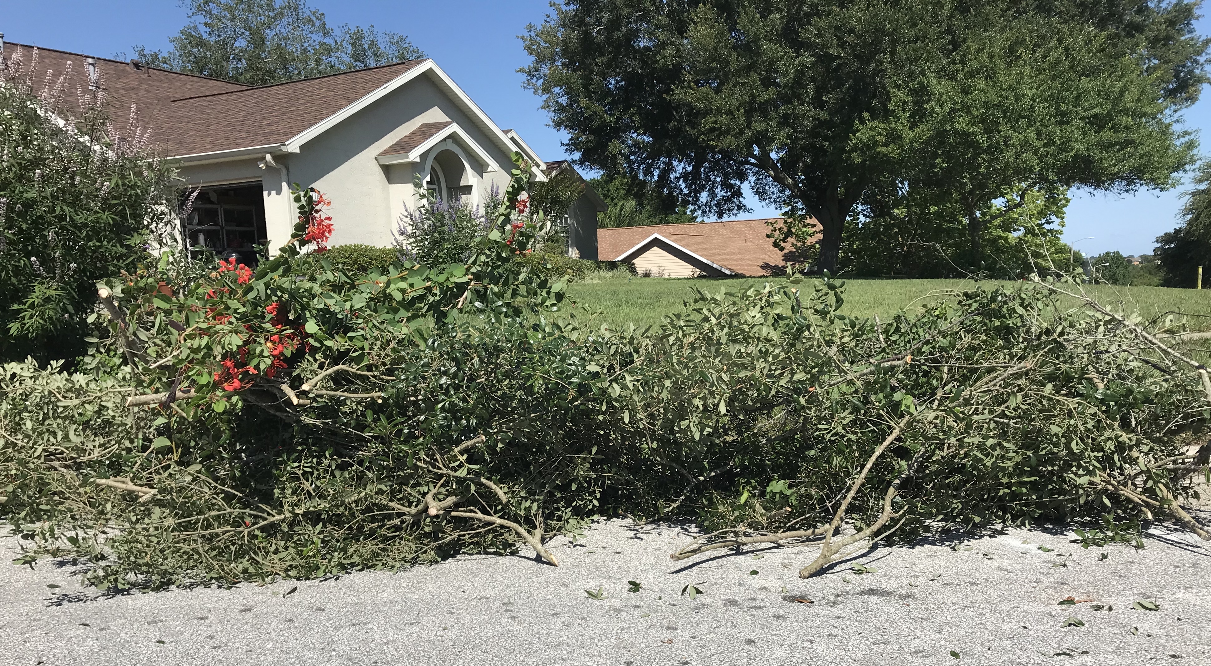 CD346E74-C6C4-4FEB-BCE2-E776D7991229