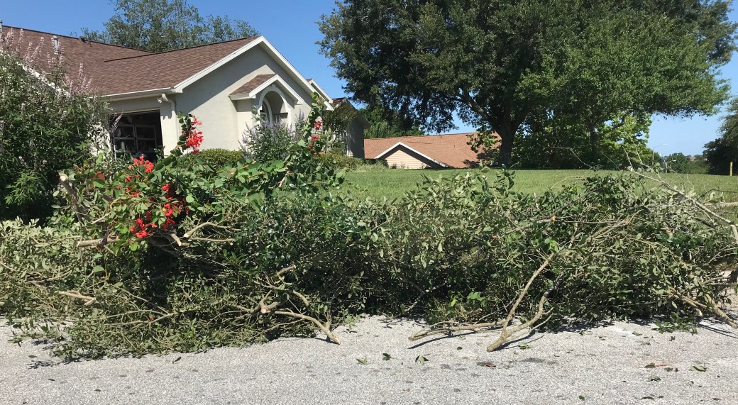 CD346E74-C6C4-4FEB-BCE2-E776D7991229