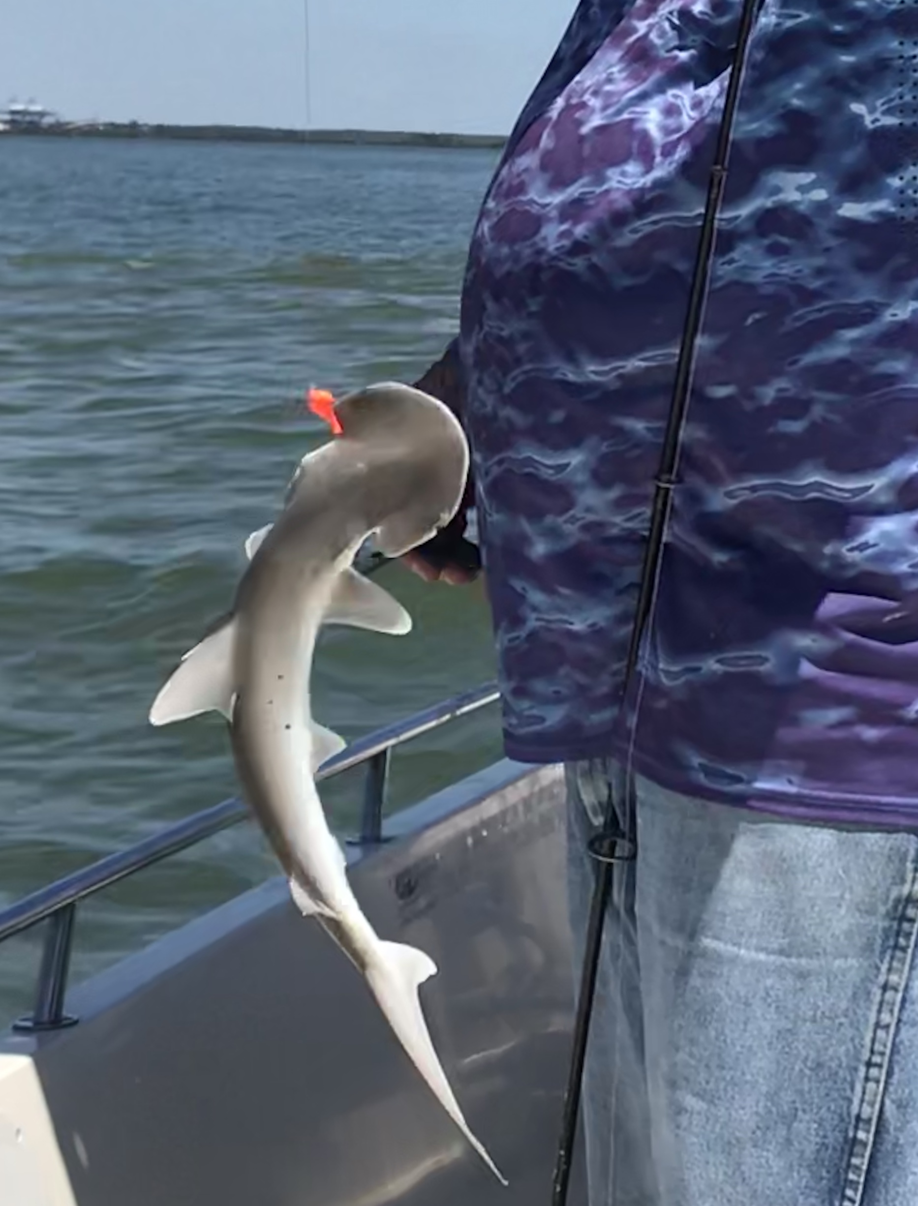 D06557A7-882A-4FDB-93D6-5B2E12F1B28F