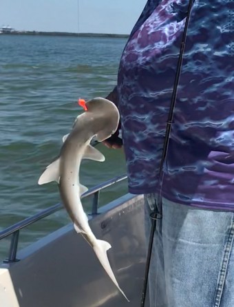 D06557A7-882A-4FDB-93D6-5B2E12F1B28F