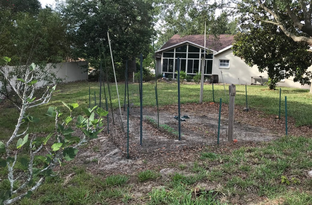 D06FD30C-DF62-4B0C-8F6F-89F016E69A96