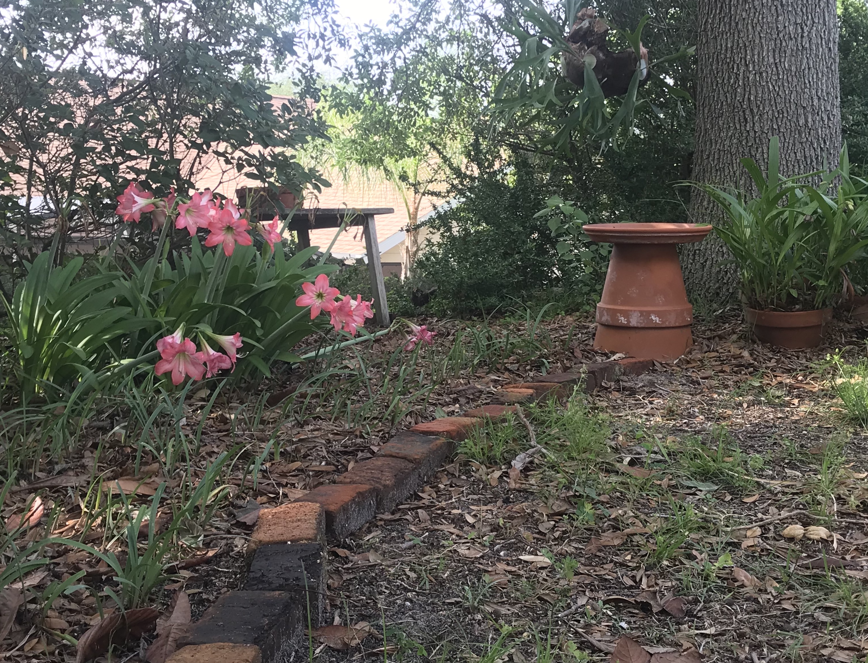 DD7A3965-3637-41F8-8D9C-8BFF62AF643E