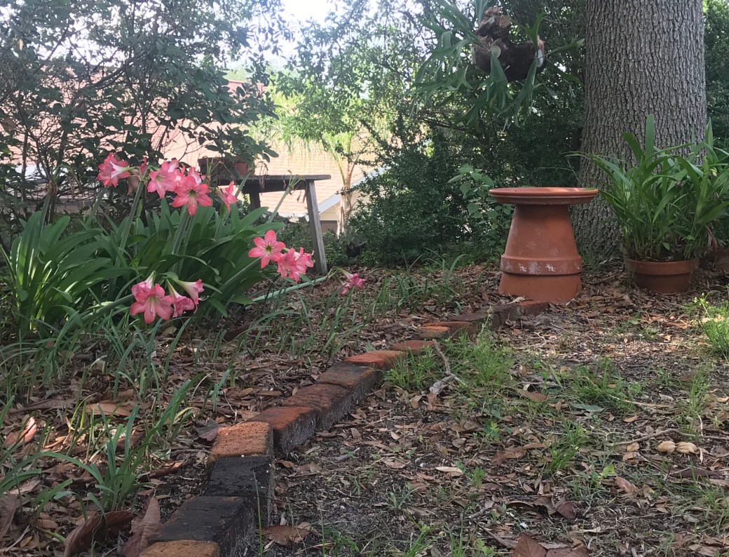 DD7A3965-3637-41F8-8D9C-8BFF62AF643E