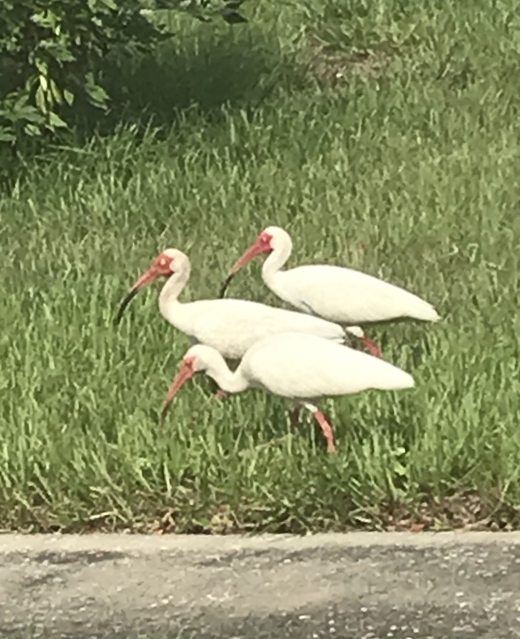 DF9384FA-0312-4D05-AEB1-A1764ADC4A0C