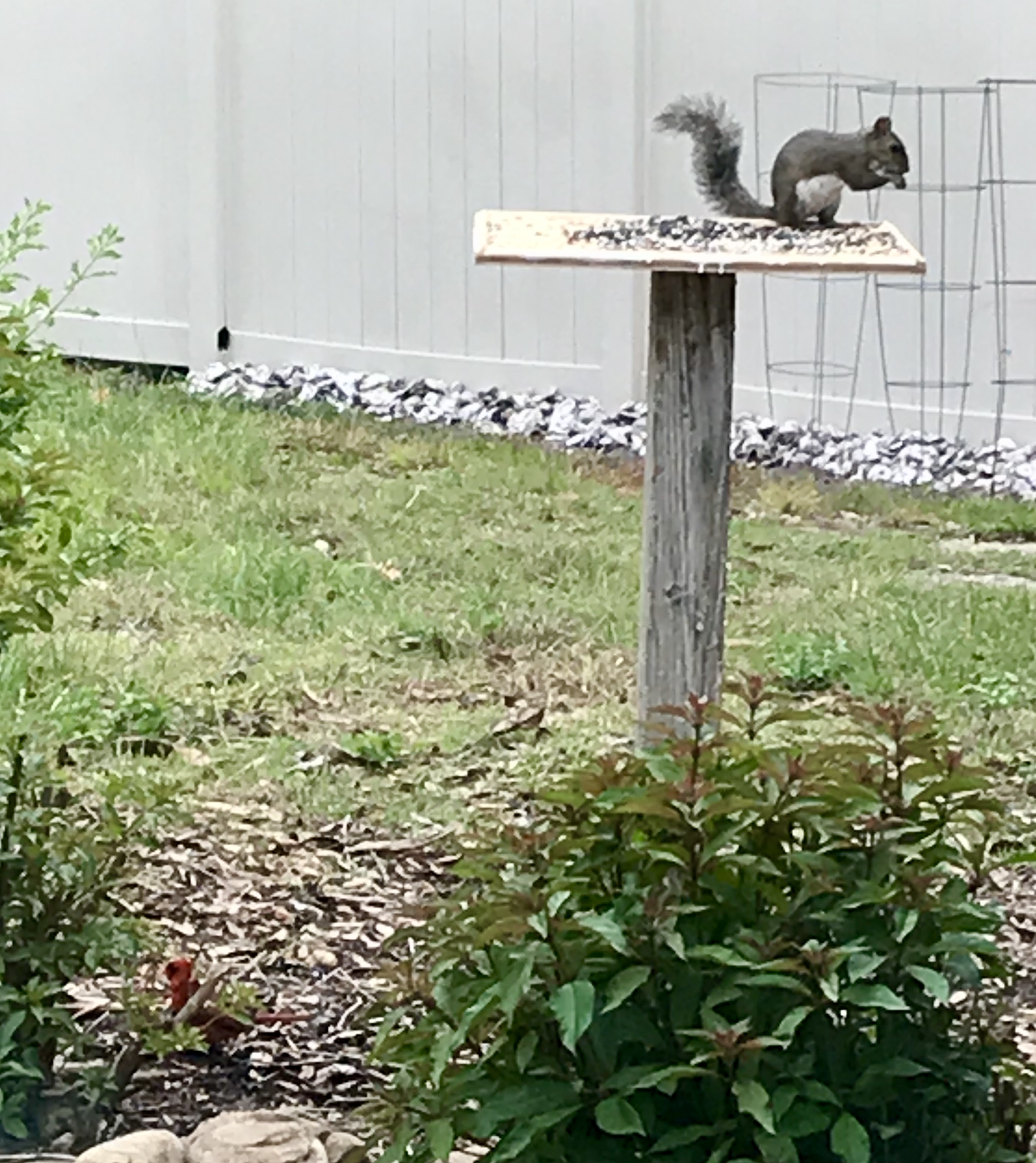 E98CA25B-7ED0-477F-8BD4-4BD8D84D651D