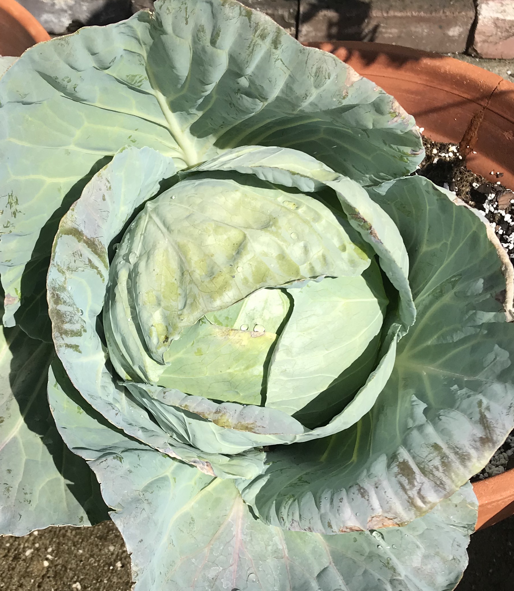 F3374059-C700-4F01-BD68-4D0BA217BFD5