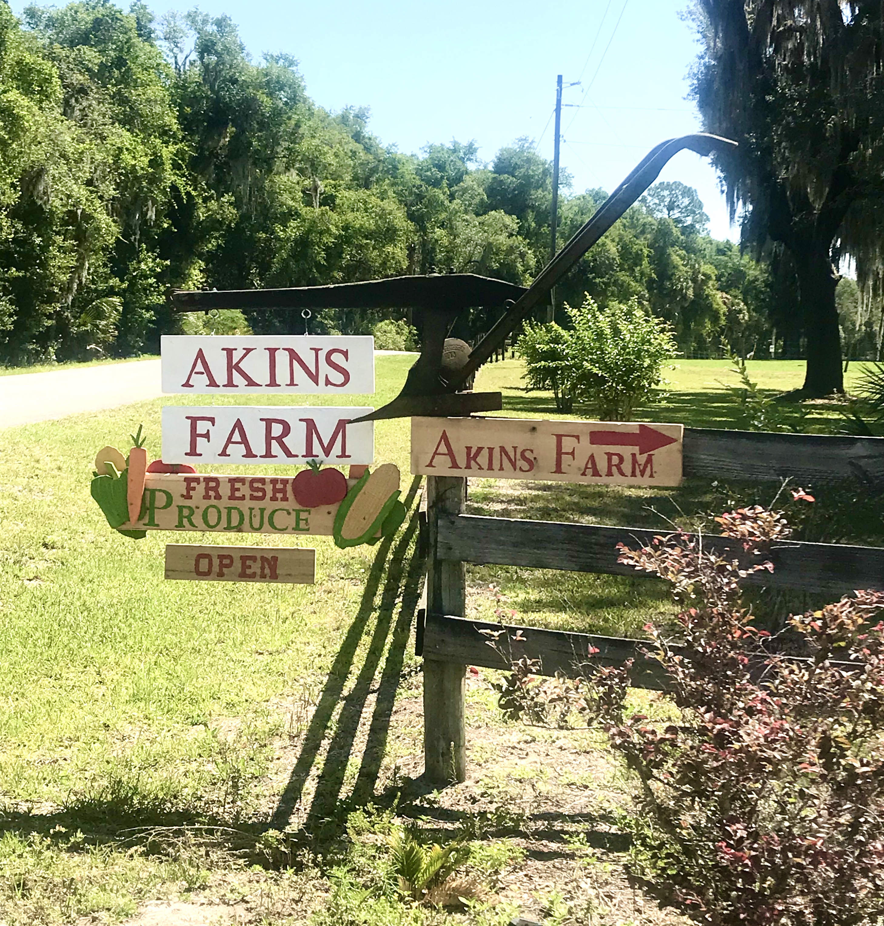 F560DE22-0407-4A05-8077-38CD7CC2AC85