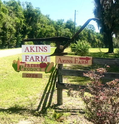 F560DE22-0407-4A05-8077-38CD7CC2AC85