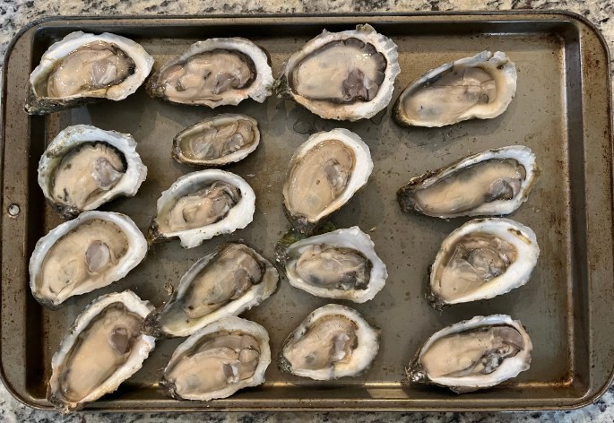 apalachicola oysters