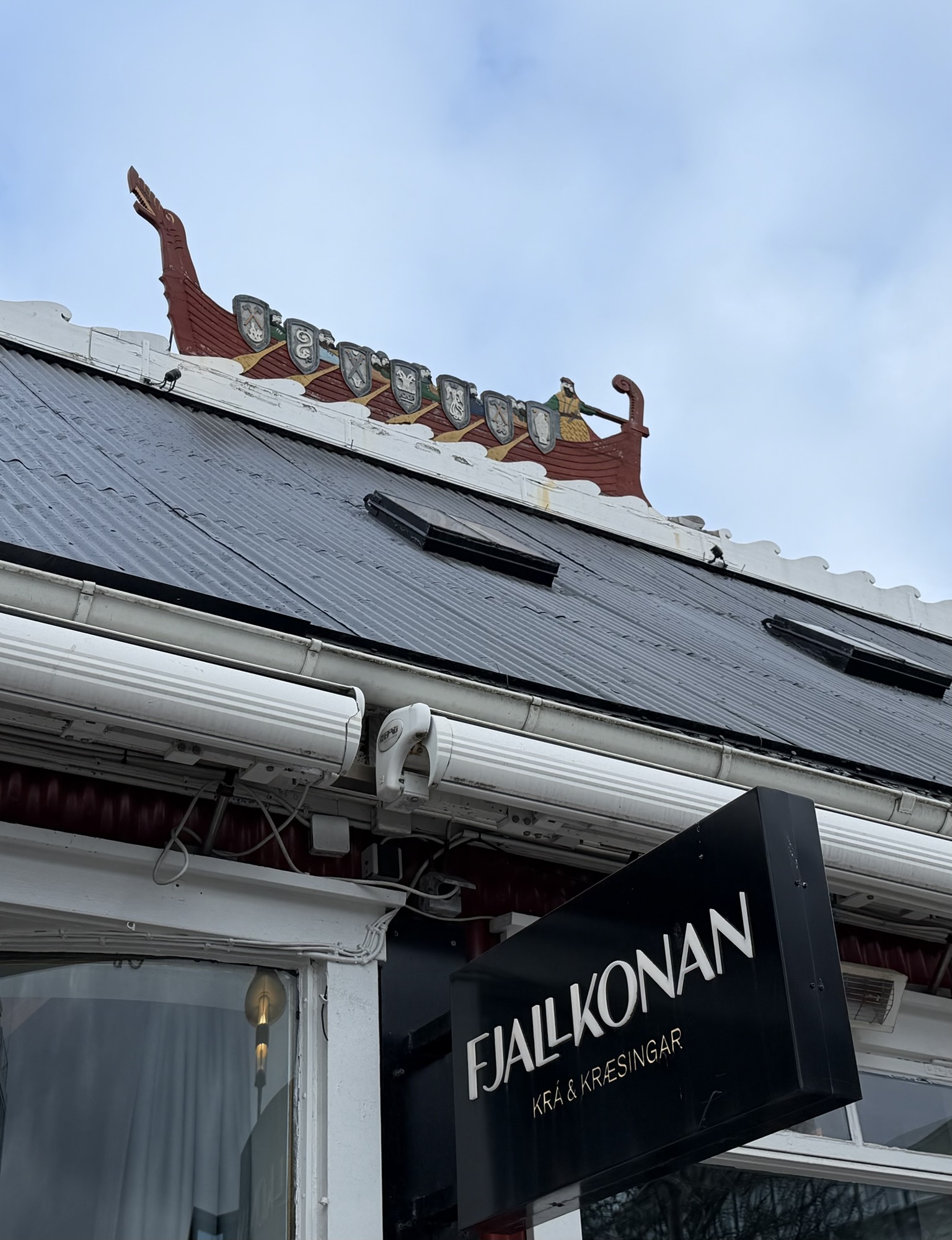 Iceland 2026 – post 3 – Darden Travels